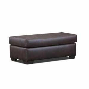 Braden Chocolate Ottoman view 2